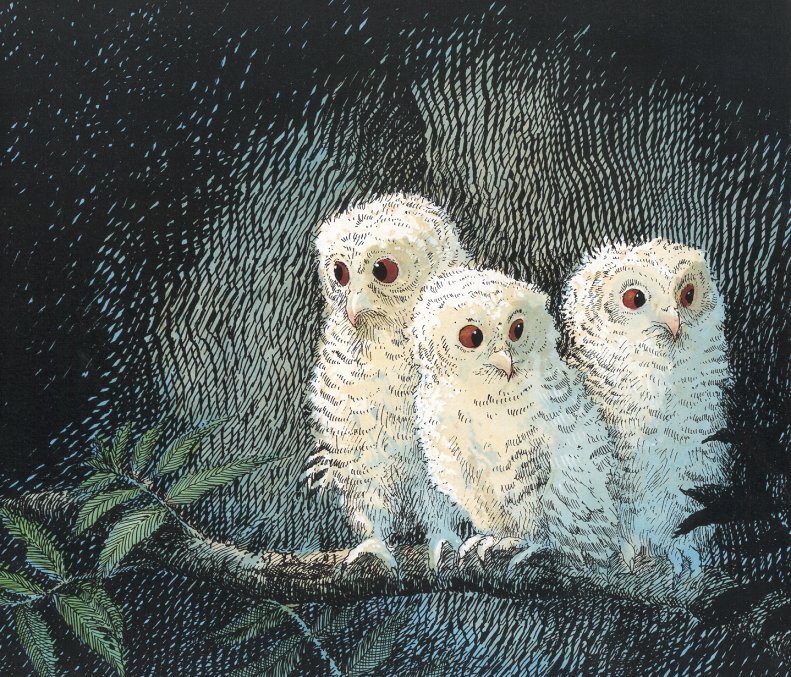 owl babies (07),绘本,绘本故事,绘本阅读,故事书,童书,图画书,课外阅读